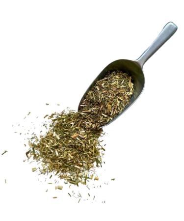 France Herbalism Herbal Tea Galega Plant