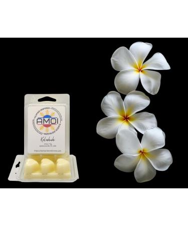 Filipino-Inspired Kalachuchi Scented Candle Wax Melts