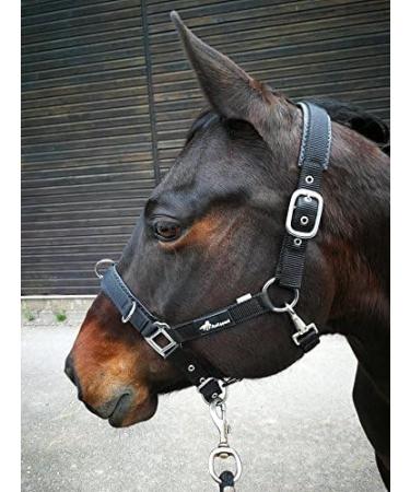 Buy JF-Reitsport Cavesson Pro 2021 | 4-Way Adjustable Soft & Shock-Absorbing for Minishetty | International Shipping Available - Buy Online on GoSupps.com