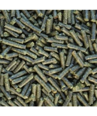 Catappa Sticks (seemandel Tree leaves) 100 g Pellets for shrimp shrimp snail & Co Lining Sticks + Water treatment