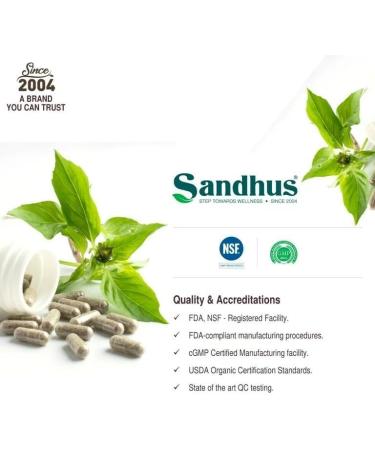 Magnesium Aspartate 120 - 120 Vegetarian Capsules | SPEC Supplements - Buy Online on GoSupps.com