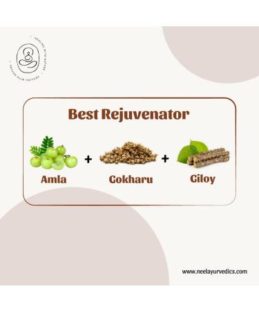 Neel Ayurvedics Giloy (Tinospora cordifolia) Powder | Giloe Powder | - 250 Gm - Buy Online on GoSupps.com