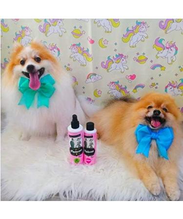 Petuxe Double Phase Vegan Conditioner for Dogs and Cats - 1000ml | Hydration, Shine, Detangling & Drying | All Breeds & Hair Types - Buy Online on GoSupps.com