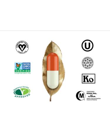  Capsugel DR T & T HPMC Pack of 1000 Vegetarian Capsules for Halal Containment Transparent Size 4 - Buy Online on GoSupps.com