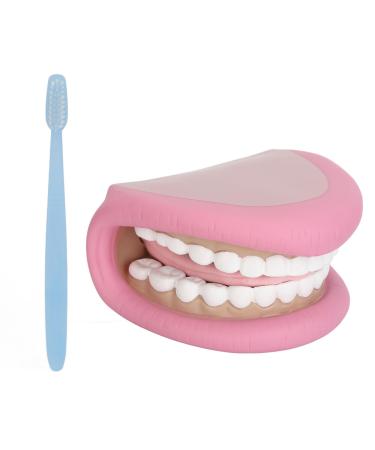 Model teeth with tongue 28 teeth children tooth model to practice dental care tooth demonstration model with toothbrush model demonstration tool for dental lessons oral care teaching za