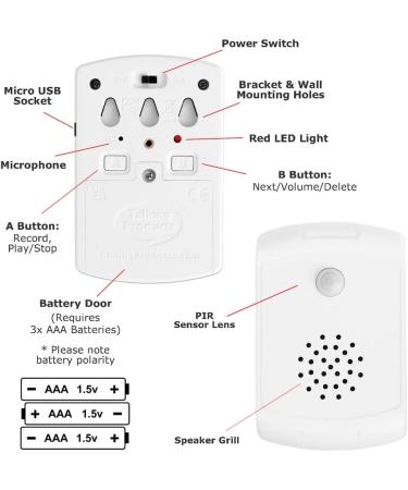 Talking Products Motion Activated Sound Box with 4 Minutes of Pre-Recorded Relaxing Nature Sounds Birdsongs and Calming Music. Sound Therapy and Sleeping Aid (Rainforest) - Buy Online on GoSupps.com