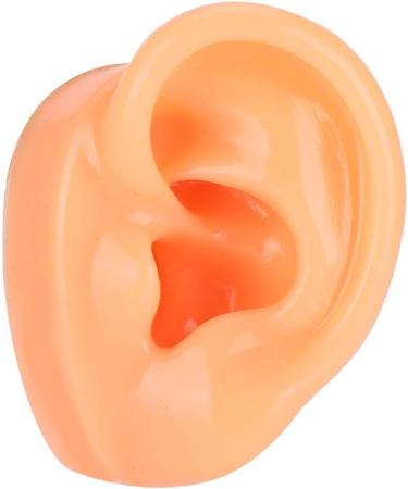 Flexible Silicone Left Ear Model for Realistic Earwax Removal Simulation - Buy Online on GoSupps.com