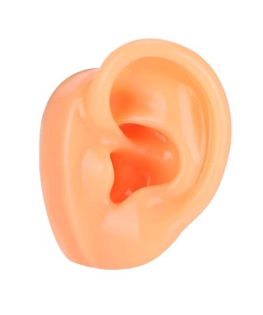 Silicone Imitation Real Human Ear Display Model - Sculpture Supplies - Buy Online on GoSupps.com