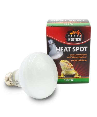 Terra Exotica Heat Spot 100 Watt -3 Pack heaters for reptiles - 25W 40W 60W 75W 100W 150W - Terrarium Heat Spotters - Terrarium lighting - heat lamp (3 100 W) 100 W 3