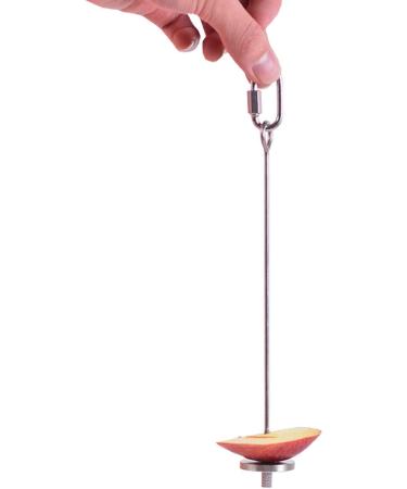 Bird Food Holder Stainless Steel Fruit Vegetable Stick Skewer for Parrots Cockatoo Cockatiel Cage Treating Tool 2 PCS-L - Buy Online on GoSupps.com