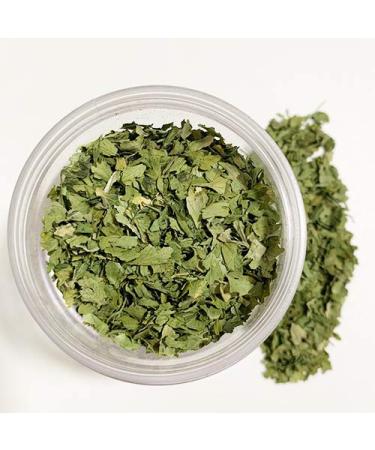 Spicylux Savory Herb Set | Parsley, Tarragon, Cilantro, Savory, Dried Chives | Premium Herbs & Spices | Packed in U.S.A - Buy Online on GoSupps.com