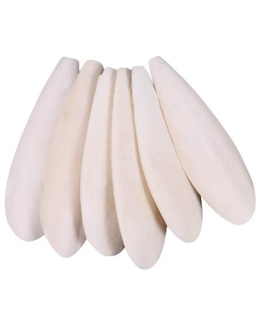 Camp trip 6 pieces sepia bowl parrots birds chewing toys with 2 pieces of metal holder ink fish sepia bones for parrot birds reptiles snails 10-12cm