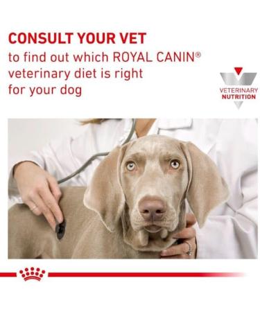 Royal Canin Veterinary Gastrointestinal High Fibre Mousse for Dogs | 12 x 200g | Supports Healthy Digestion | International Shipping Available - Buy Online on GoSupps.com