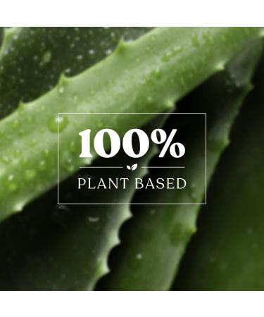 kridha Red Sandalwood Body Lotion With Saffron Honey & Coconut Oil - Deep Moisturizer for Women & Men - Summer Body Lotion for Smooth Glowing Skin 100ml - Buy Online on GoSupps.com