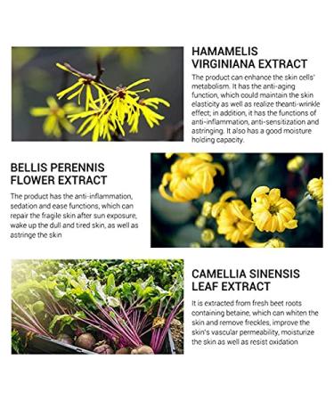 LANBENA Pore Skin Care Serum - Pore Shrinking, Dryness Relief, Oil Control, Firming, Moisturizing - Buy Online on GoSupps.com