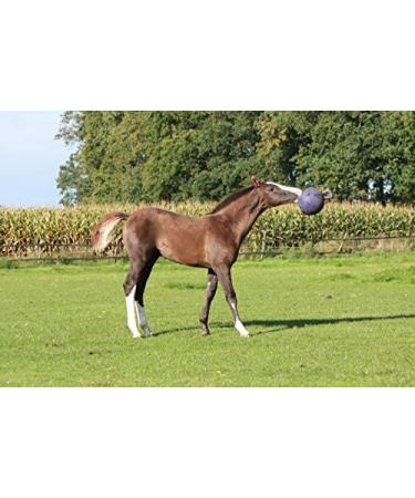 Horsemen's 10 Jolly Ball Horse Toy - Durable & Fun Equine Play! - Buy Online on GoSupps.com