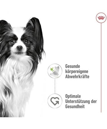 ROYAL CANIN X-Small Adult | 12 x 85 g | Wet Food for Very Small Adult Dogs | From the 10th Month of Life | with Chunks in Sauce | in Soft Pouch - Buy Online on GoSupps.com