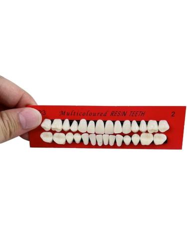 Baokuan 28PC Dental Teeth Lessons Model - Realistic Resin Tooth Substitute Set for Educational Use - Buy Online on GoSupps.com