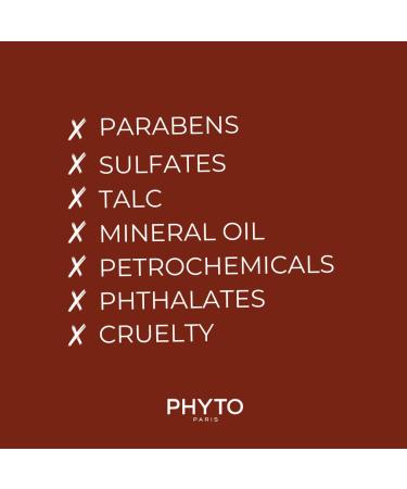 PHYTO Phytolaque Soie Hair Spray 3.38 Fl Oz (Pack of 1) - Buy Online on GoSupps.com