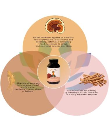 Peak + Valley Stress Relief Supplement for Mood Support Balance My Stress Capsules - Contains Adaptogens Ashwagandha Eleuthero Root Reishi Mushroom Supplement - Natural Mood Stabilizer - 60 Ct 60 Count (Pack of 1) - Buy Online on GoSupps.com