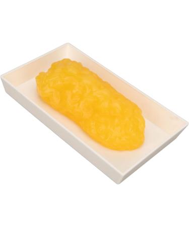 Jauarta Human Body Fat Replica 1lb Human Fatty Tissue Demonstration Model for Nutritionist Science Course - Buy Online on GoSupps.com