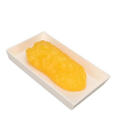 Fat Replica Human Fatty Tissue Model Mellow Demonstration Plastic Smooth for Clinics - Buy Online on GoSupps.com
