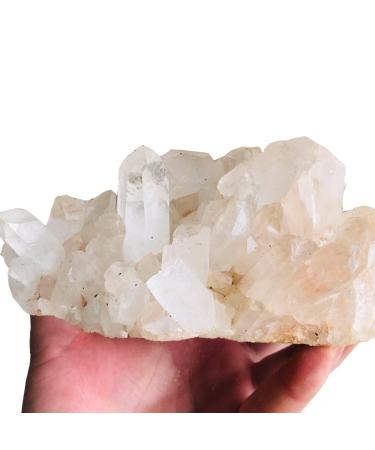 Crystal Ornaments 1pcNatural Rock Clear White Large Quartz Crystal Stone Cluster 700g-2000g for Home Decoration dingchi Stone Mineral Specimen (Color : 1pc860g-1000g)
