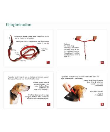 PABA Gentle Leader Ultimate Head Collar with Soft Touch Webbing Beige 28-59kg (Large) - Buy Online on GoSupps.com