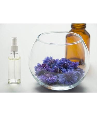 Transparent Plastic Spray Bottles Set - 4PCS Reusable Fine Mist Atomiser for Essential Oils & Travel (100ml 3.5oz) - Ideal for Perfume & Liquid Storage - Buy Online on GoSupps.com