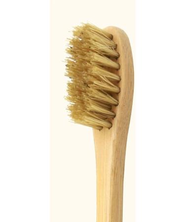 Eco-Friendly Biodegradable Toothbrush Set - Hard Bristles 4 Pack Sustainable Bathroom Essentials - Buy Online on GoSupps.com