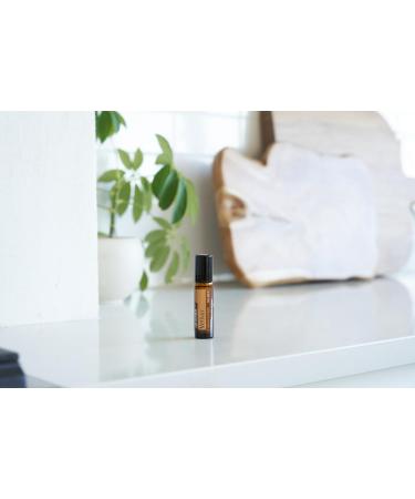doTERRA Vetiver Touch Essential Oil 10 ml - Buy Organic Essential Oil for Relaxation & Stress Relief | International Shipping Available - Buy Online on GoSupps.com