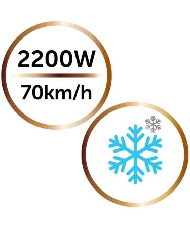 Spectrum Brands Group Remington Ionic hair dryer shine and softness care natural and colored hair shine powerful 2200 W frizzfree 3 temperatures2 speeds concentrator + diffuser D6098 - Buy Online on GoSupps.com