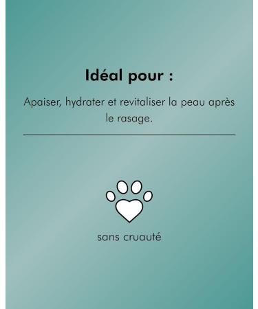 After Shave Balm 100 ml | Baume After-Shave sans alcool avec panth nol (provitamine B5) et vitamine E pour peaux sensibles | Divan.Care - Buy Online on GoSupps.com