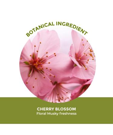 Yves Rocher Cherry Blossom cherry bloom Eau de toilette for Women Spray 100 ml./3.3 fl.oz. - Buy Online on GoSupps.com