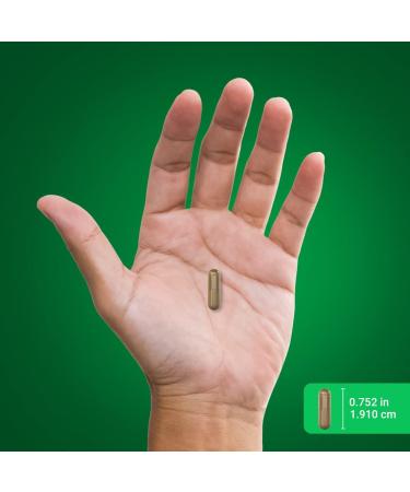 Piping Rock Uva Ursi Capsules 960mg - 100 Count Herbal Extract Supplement - Buy Online on GoSupps.com