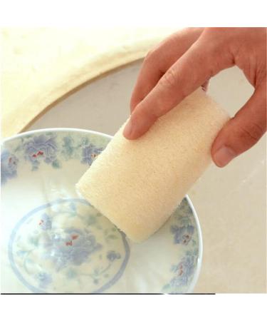 Durability Popular Body Sponge Bath Cleaning and Cleaning Work Set of 3 Stylish Nice and Deft - Buy Online on GoSupps.com