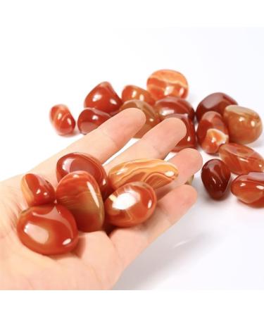 Natural Crystal Natural Red Agate Tumble Rock CrystalsTumbled Crystals Stones Stone Mineral Specimen (Color : 100g) - Buy Online on GoSupps.com