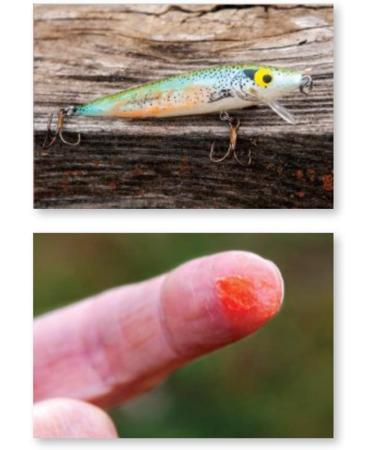 Pautzke Fire Gel Shad Fishing Scent Attractant Bait - 2021 Top Seller! - Buy Online on GoSupps.com