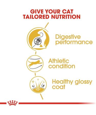 Royal Canin Bengal Cat Food 10 kg - Buy Online on GoSupps.com