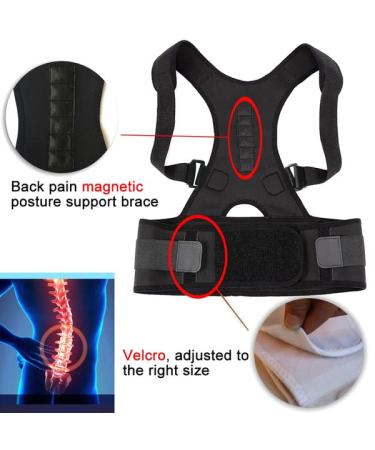 walgreen Xample Magnetic Back Support Belt Brace Lumbar Posture Corrector Pain Shoulder Neoprene Back Brace Posture Corrector Spinal Support for Women and Men (Small) - Buy Online on GoSupps.com