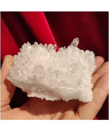 Natural Crystal Rough for 1pcs 350g Natural Beautiful White Cluster Specimen Quartz Crystal - Buy Online on GoSupps.com