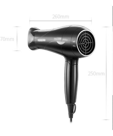 Hair Dryer with Folding Handle Travel Hair Dryer /White (Black) - Buy Online on GoSupps.com