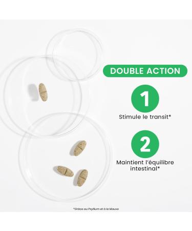 Santarome Bio Transit Flash | Complexe PGA : Psyllium Mauve Bourgeons & Huile Essentielle de Gingembre | Action Rapide 5 Jours | Transit R gulier & Confort Digestif | Bio Vegan Made in France Transit Flash - Stimule le transit maintient l' quilibre intest - Buy Online on GoSupps.com