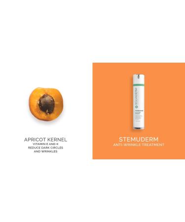 Solvaderm Stemuderm Anti-Wrinkle Moisturizing Cream with Matrixyl 3000, Syn-Ake, Hyaluronic Acid, Jojoba & Apricot Kernel Oil - Buy Online on GoSupps.com