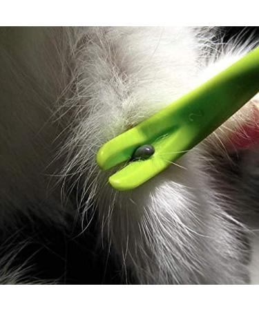 Generise Tick Remover 3 Pack | Tool Kit for Dog Cat and Other Pets - Buy Online on GoSupps.com