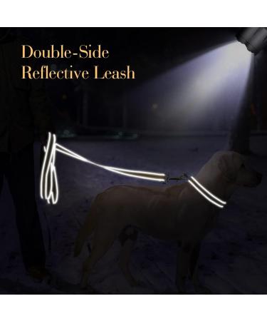 Personalized Reflective Dog Collar & Leash Set for Large Dogs - Tagme 1.5m Double-Sided Khaki | International Shipping Available - Buy Online on GoSupps.com