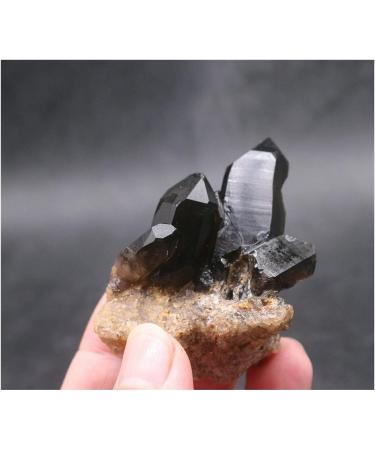 Crystal Natural Black Quartz Crystal Cluster Natural ore Sample Stone Crystal for Home Decoration Collection and Gift Draw yuebang Stone Mineral Specimen 80g-100g Black - Buy Online on GoSupps.com