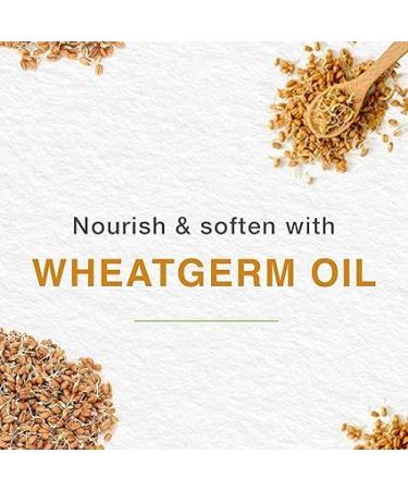 Buy Tinted Moisturizer Lip Balm 10g - Hydrating & Colorful | International Shipping - Buy Online on GoSupps.com