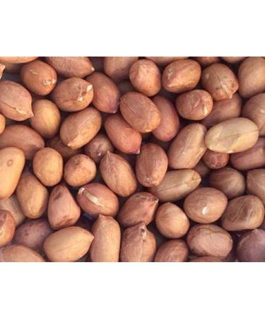 Raw Red Skin Peanuts (Uncooked, Unsalted) 3 LB. (48oz), Product of USA