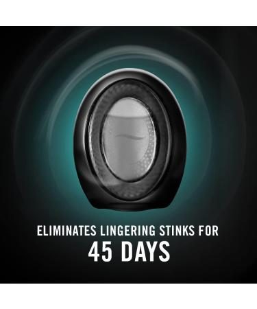 Febreze Small Spaces Berry & Bramble Plug-in Air Freshener 4 Count - Odor Fighter for Strong Odors - Buy Online on GoSupps.com